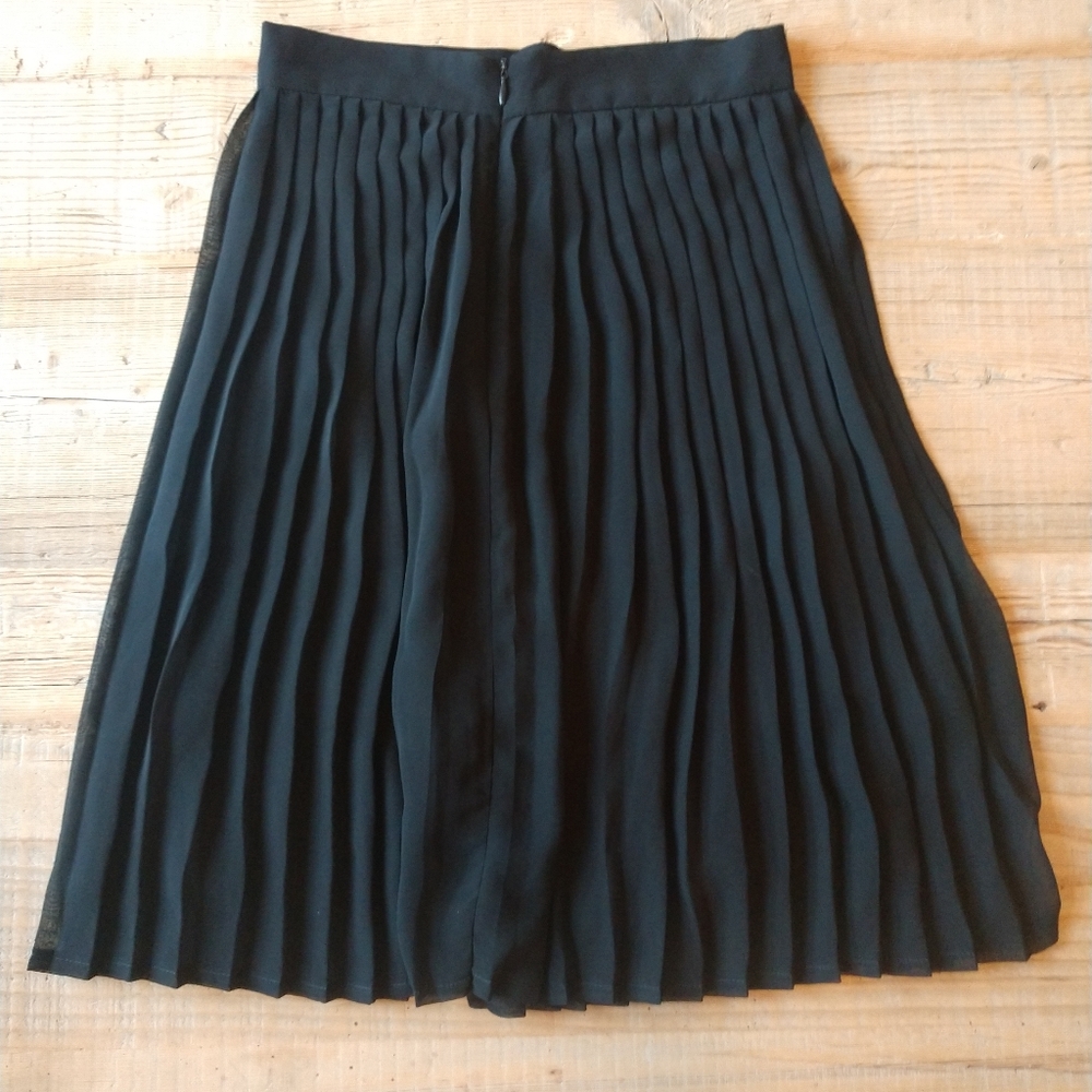 American Apparel pleated sheer skirt.